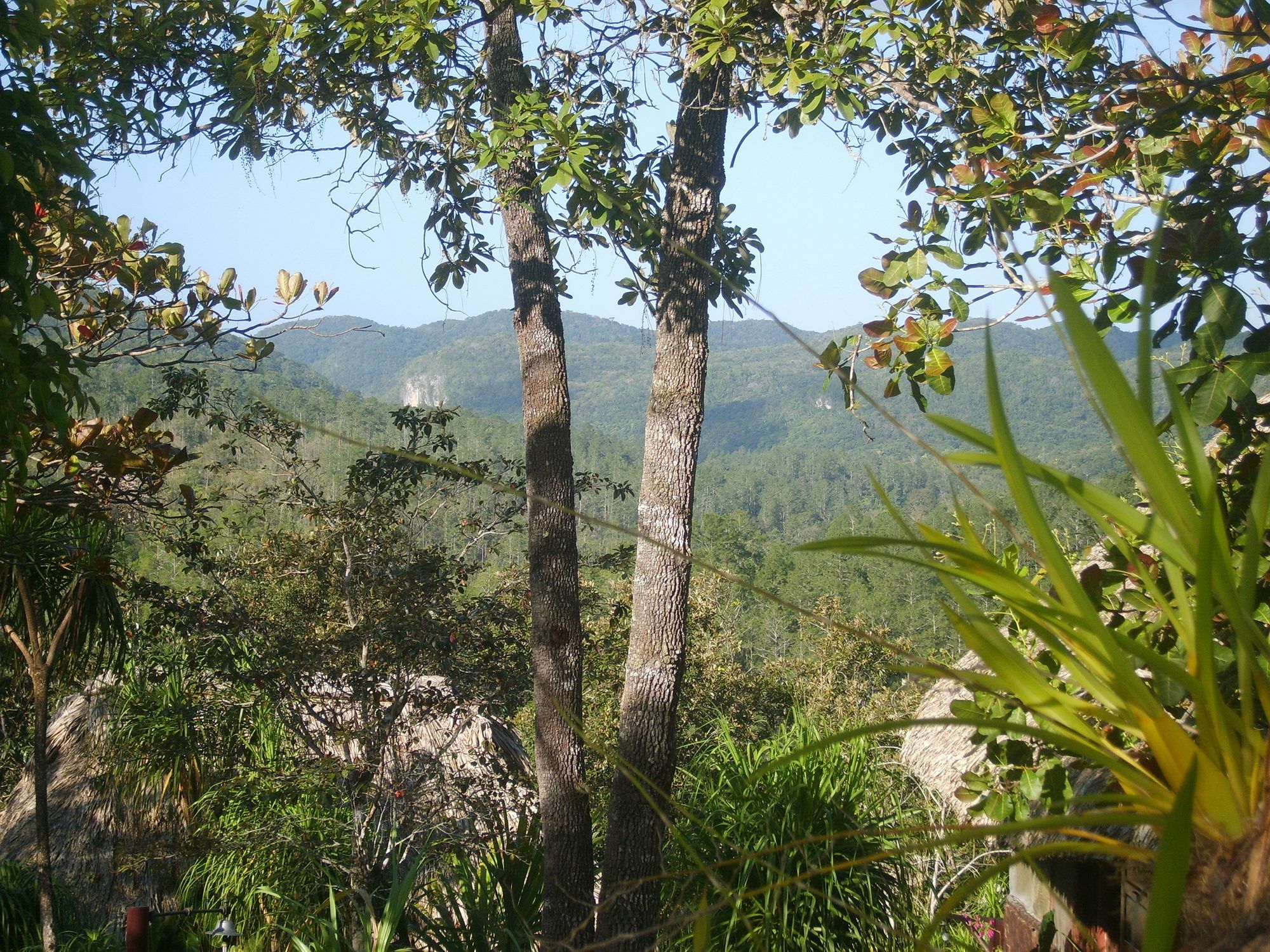 Gaia Riverlodge Unitedville Esterno foto